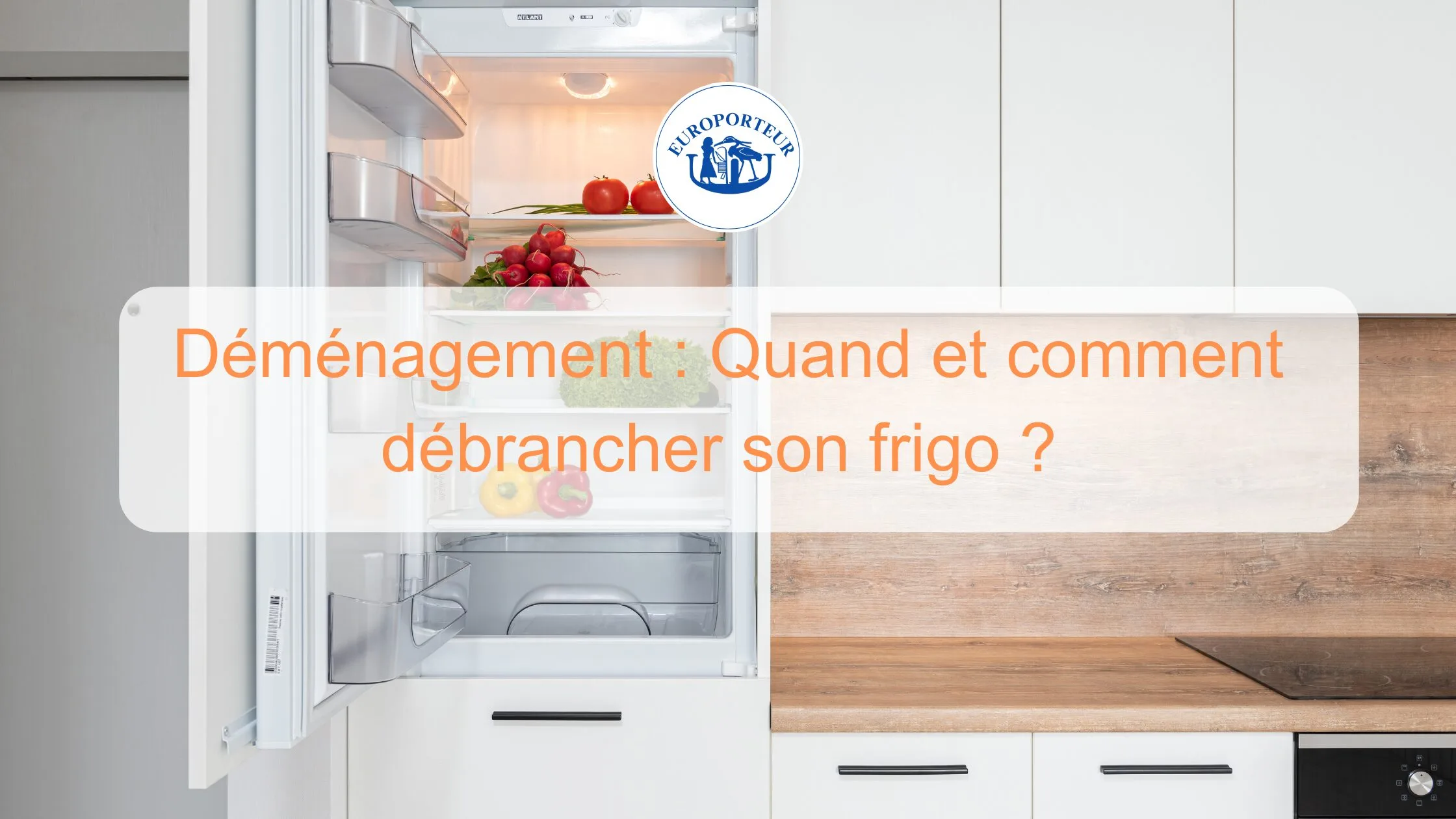 You are currently viewing Déménagement : quand et comment débrancher son frigo ?