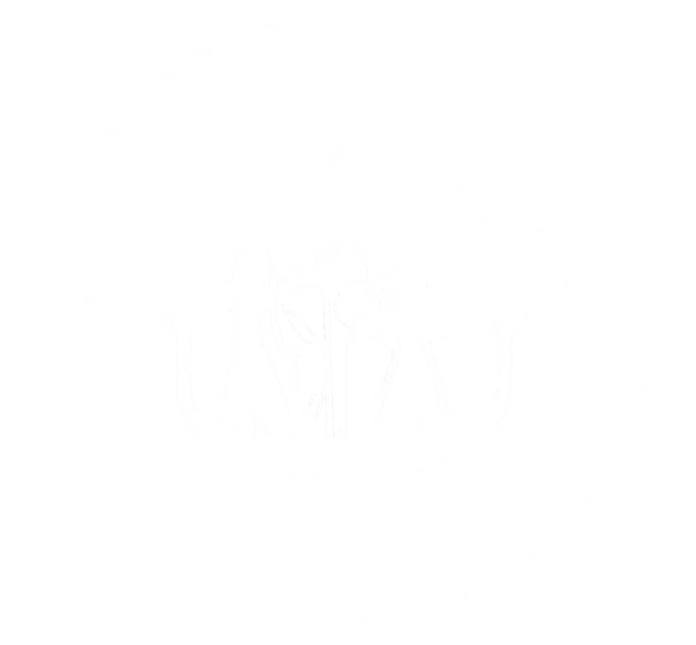 LOGO EUROPORTEUR BLANC